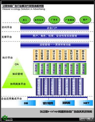 巴可网络科技 绵阳企业数字化升级的全景赋能者