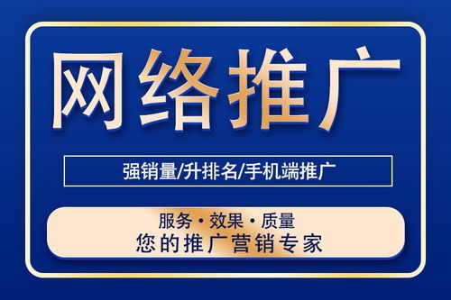 网络推广的全面解析 技巧与信息技术服务